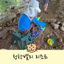 이토록;래쉬 | 서울 근교 계곡 청학밸리리조트 아기랑 가기 좋은 곳