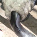 성진카센터 이미지