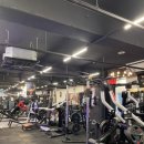 오렌다 핏 이미지