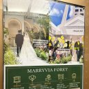 엘포레 | [대전 스몰웨딩홀투어 후기💕계약완료✅] 메리비아포레, 메종드오페라, 마리드엘(최소보증인원 150명 이하...