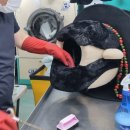 서울특수세탁소 이미지