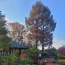 초미동길 이미지