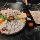 탱글이 문어 이미지