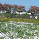 홍이네 민박 이미지