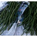 창민2농장 이미지