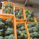 한라봉브로콜리 이미지