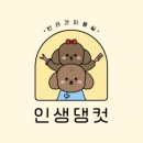 인생댕컷 반려견미용실 이미지
