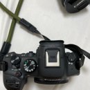 캐논 미러리스 eos r6 mark2(r6m2) 판매합니다 이미지