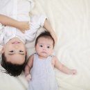 나무스튜디오 이미지