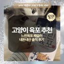 (주)페슬러 | 느린육포 페슬러 닭가슴살맛 고양이 육포 먹어도 괜찮을까? 츄가 먹어본 후기