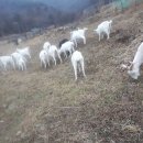 부귀농장 이미지