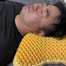 레몬세탁 | 경추에 좋은 숙면 베개 마카리 레몬베개 찐후기
