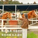 드르쿰다 | 제주 승마체험 동쪽 아이와 가볼만한곳 목장카페 드르쿰다 쿰다패스 솔직후기