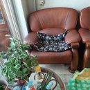 음암보건지소 이미지