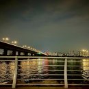 서림 행정사사무소 이미지