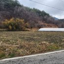 신기리농장 이미지