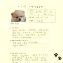 1189 | [#1189] 나율(양측 대퇴골두절제술)의 수술후기