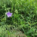 그리고마을 이미지