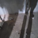 오남도서관 이미지