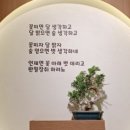 청월참치