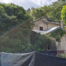 산호동109 이미지