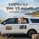 펫택시 전재우 | 카니발펫택시 에서 발 뻗고 편하게! 글로벌 손님들도 예약하고 찾는 두리펫택시