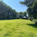 드린겐 애견테마파크 이미지