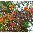 서울화원 이미지