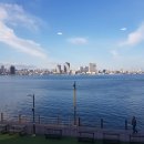 속초중학교 이미지