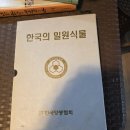 정헌관
