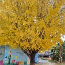 수양동주민센터.도서관 이미지