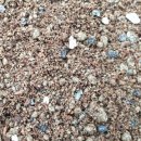 다육식물 키우기 적합한 공간 및 물주기