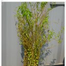 신영농원 이미지