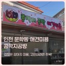 문학동애견미용 콩깍지공방, 겁많은 강아지 미용 고민이라면 주목!