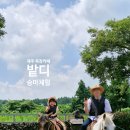내리목장 | 제주 목장카페 밭디 아이랑 승마체험 가격 / 정보 / 솔직 후기