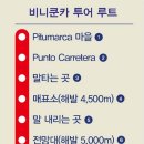 무지개여행사