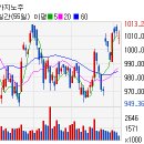 (주)마제스타 마제스타카지노 이미지