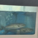 동수역 1번 출구 이미지