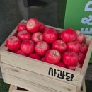초록마을평택동삭 | 예산 특산품 사과파이 사과당 평택동삭점 추천