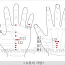 정상별 수지침 뜸 혈자리 이미지