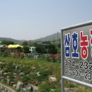 삼호농장 이미지