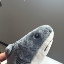 세림태권도체육관 이미지