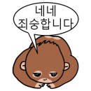헤어 엘리