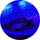 하양낚시 이미지