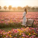 아름다운 비결 | 요즘 SNS에서 대세인 강원 철원 고석정꽃축제 6월, 인생샷 건지는 진짜 비결과 리얼 후기