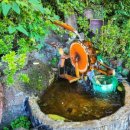 성산할머니 이미지