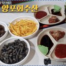 양포횟집 - 북구 성북로5길 6-1 | 양포횟집