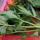 영진상회 이미지