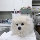 해밀예당3로 37 이미지