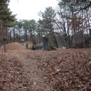 기응세선생묘 이미지